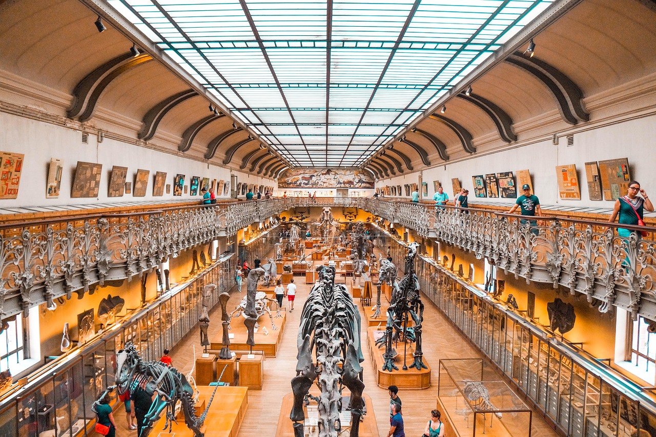 A large museum hall filled with various dinosaur skeletons on display.