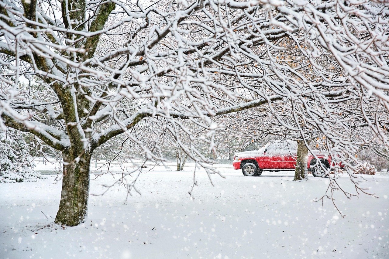 A red pickup truck parked in a snowy landscape seen through snow-covered tree branches.